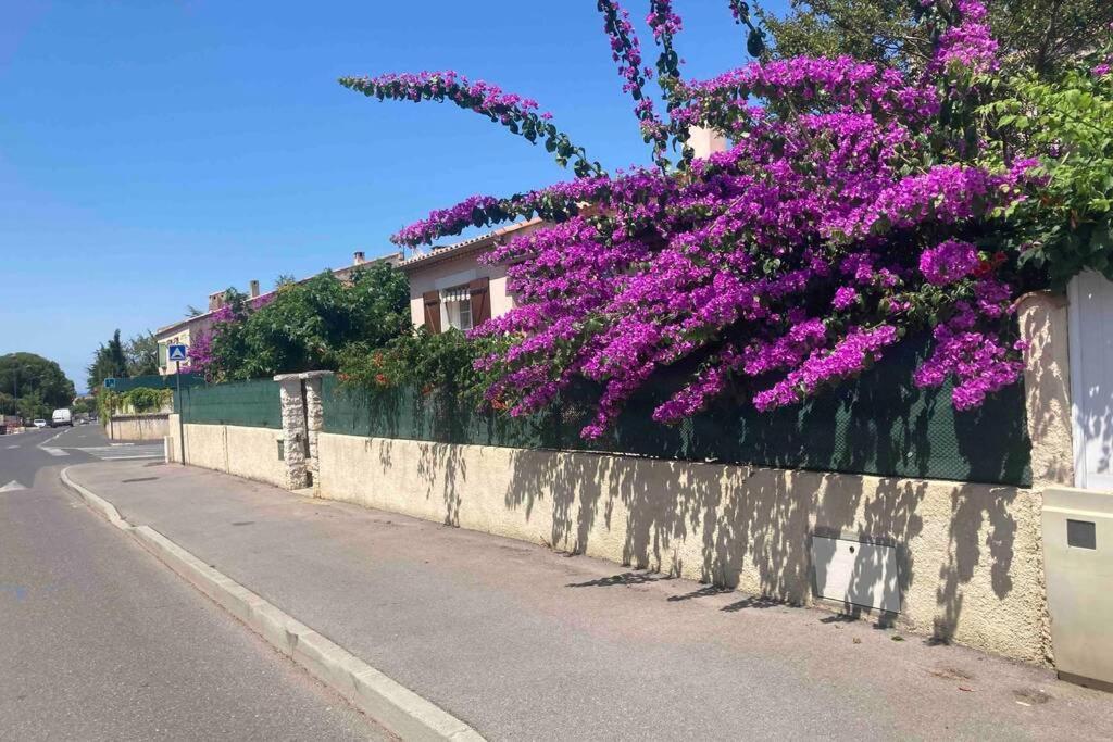 Magnifique Villa Avec Piscine Villeneuve-les-Maguelonne Bagian luar foto